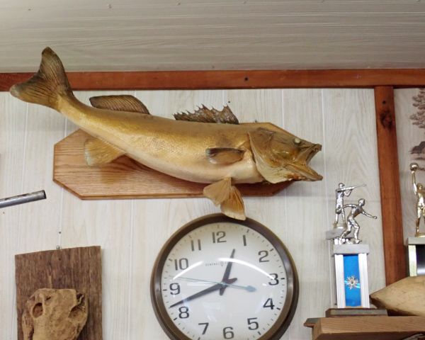 Auction listing photo
