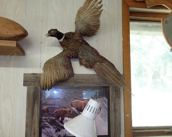 Auction listing photo