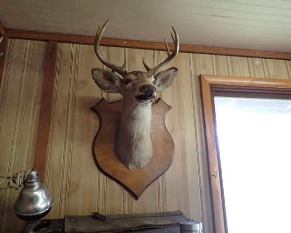 Auction listing photo