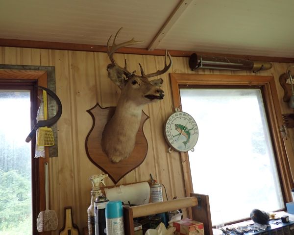 Auction listing photo