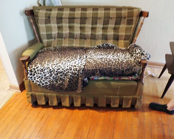 Auction listing photo