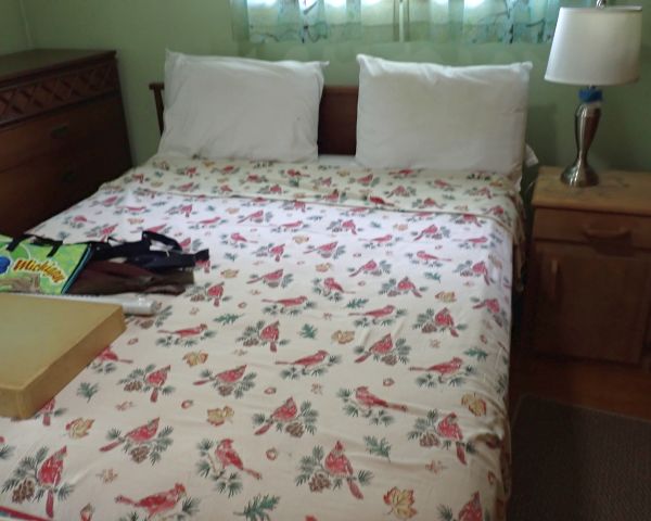 Auction listing photo