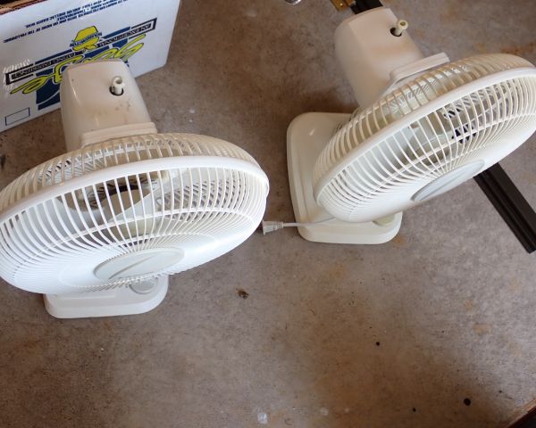 Auction listing photo