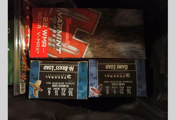 Auction listing photo