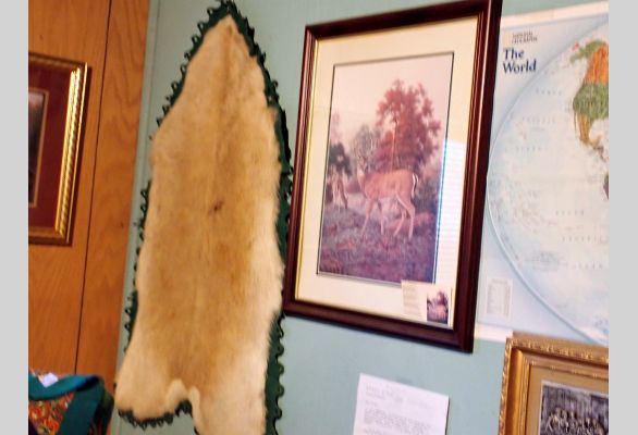 Auction listing photo