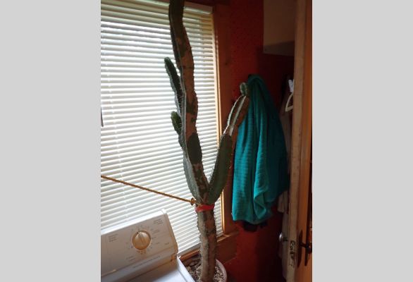 Auction listing photo