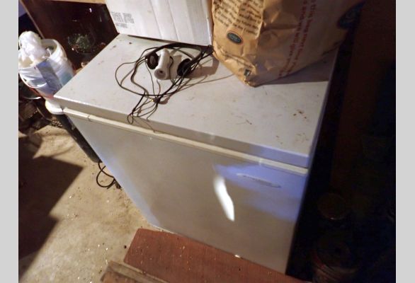 Auction listing photo