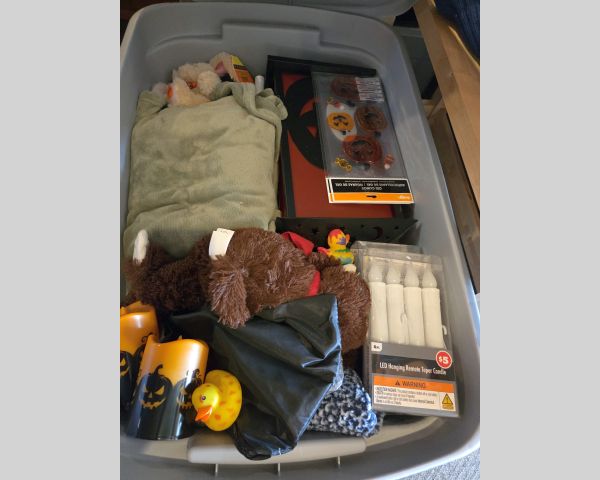 Auction listing photo