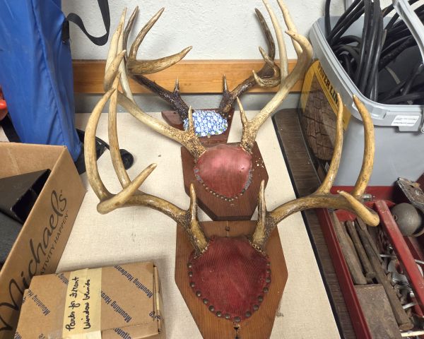 Auction listing photo