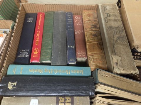 Auction listing photo