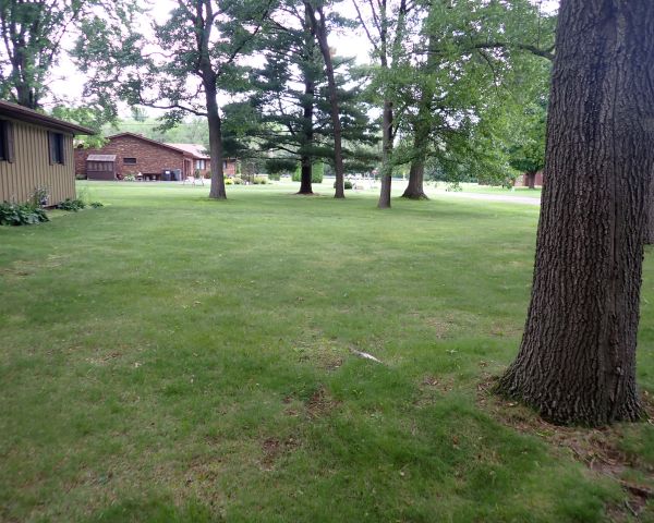 Auction listing photo