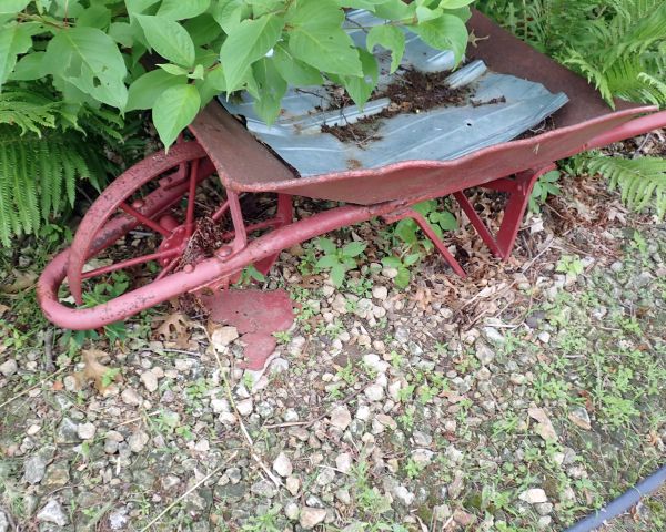 Auction listing photo