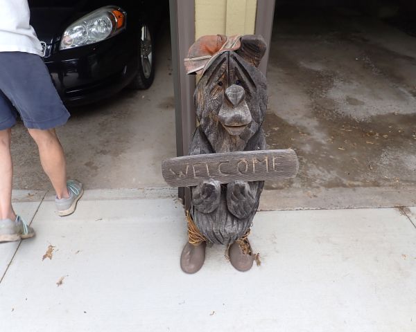 Auction listing photo