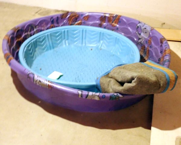 Auction listing photo