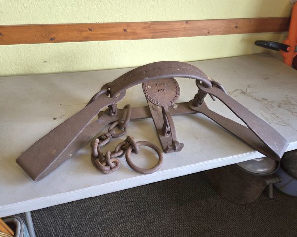 Auction listing photo