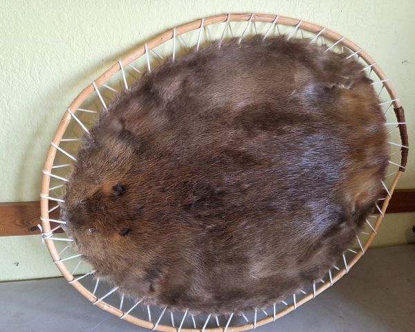 Auction listing photo