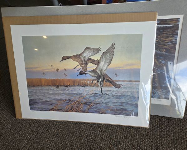 Auction listing photo