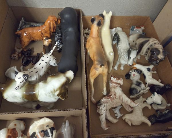Auction listing photo