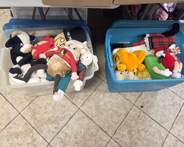 Auction listing photo