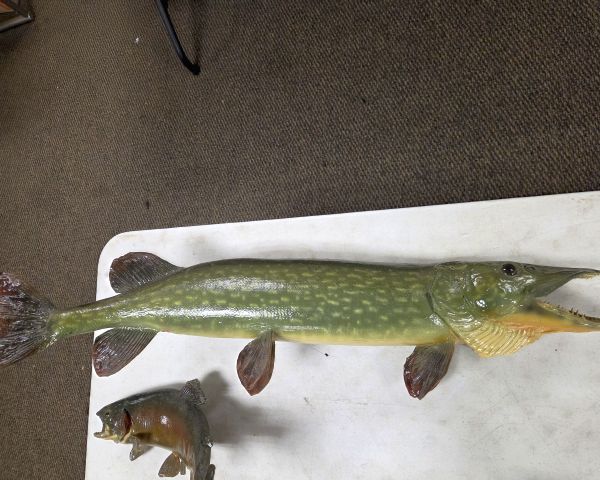 Auction listing photo