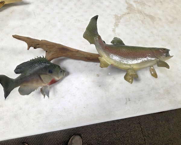 Auction listing photo