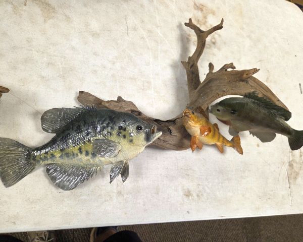 Auction listing photo