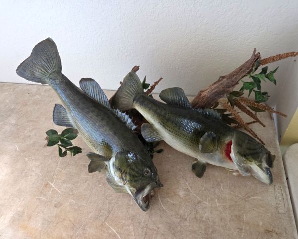 Auction listing photo