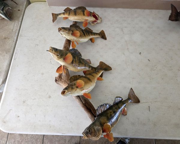 Auction listing photo