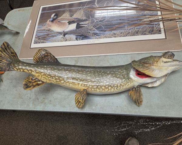 Auction listing photo