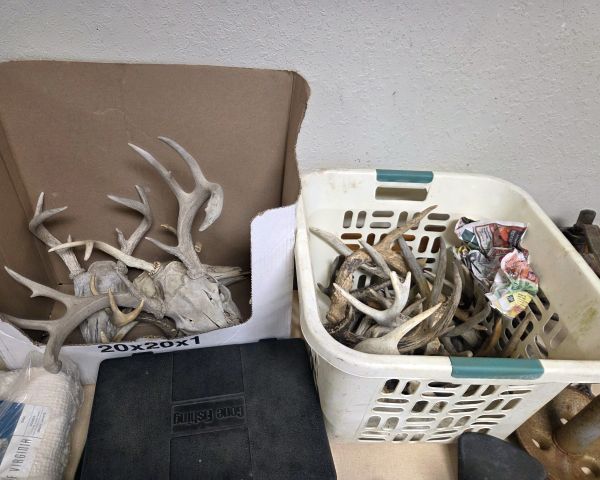 Auction listing photo