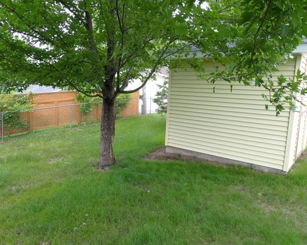 Auction listing photo