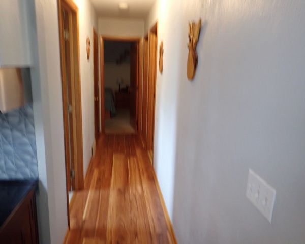 Auction listing photo