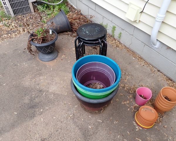 Auction listing photo