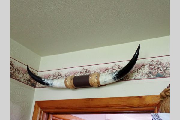 Auction listing photo