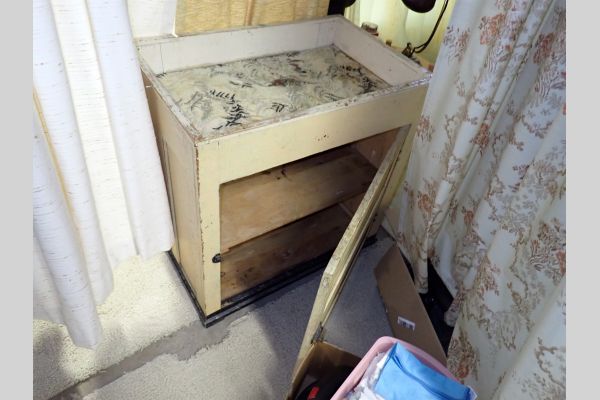 Auction listing photo