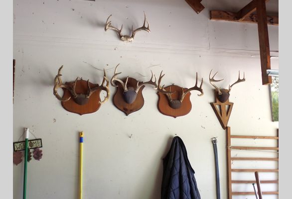 Auction listing photo