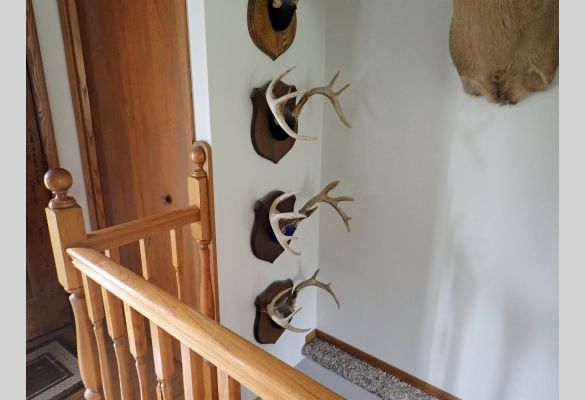 Auction listing photo