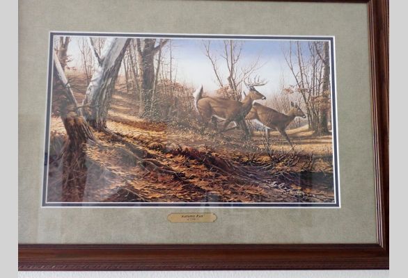 Auction listing photo