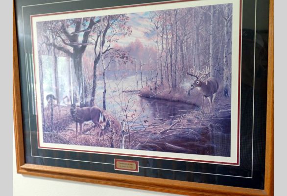 Auction listing photo