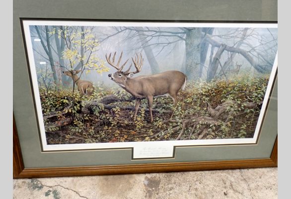 Auction listing photo