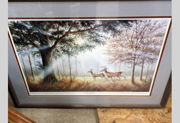 Auction listing photo