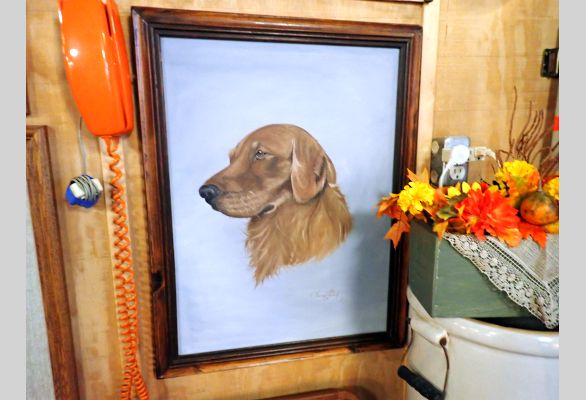 Auction listing photo