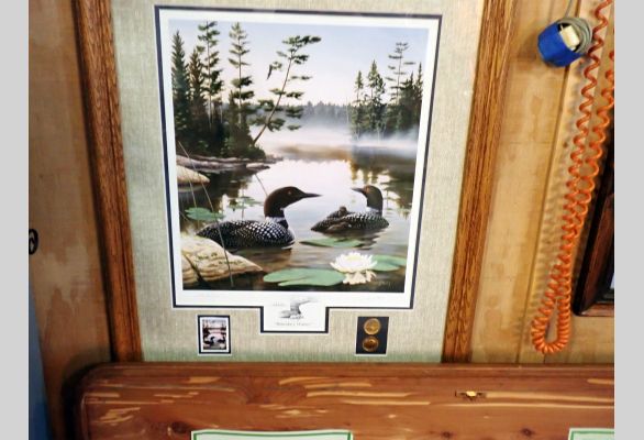 Auction listing photo