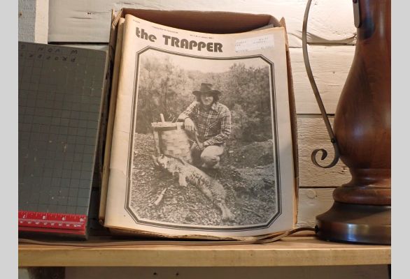 Auction listing photo