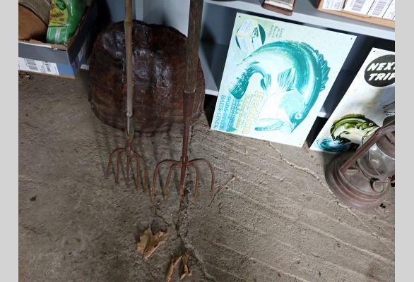 Auction listing photo
