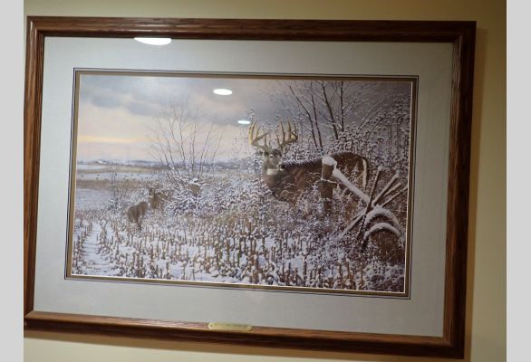 Auction listing photo