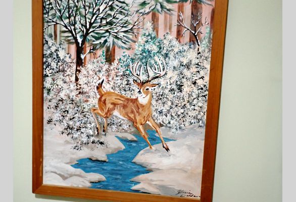 Auction listing photo
