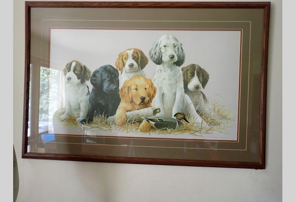Auction listing photo