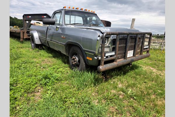 Auction listing photo
