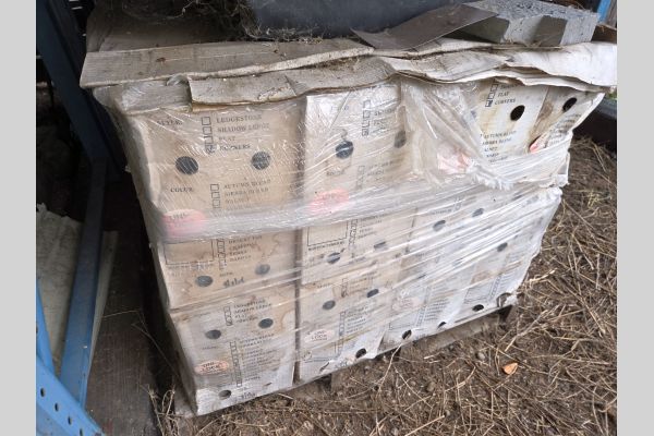 Auction listing photo
